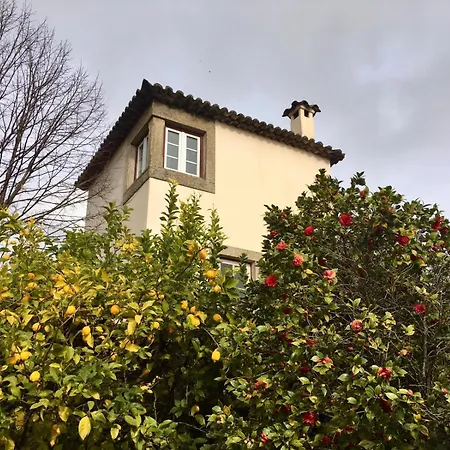 Casa De * Castelo Novo