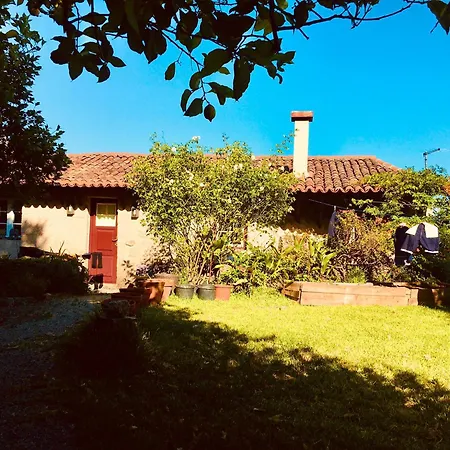 Casa De * Castelo Novo